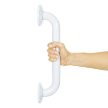 Load image into Gallery viewer, Metal Grab Bar 12 Inch